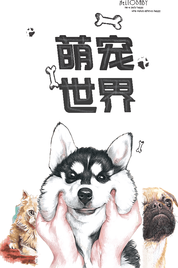 萌宠_宠物_小狗_宠物世界微信公众号文章样式模板_速