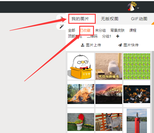 已收藏图片.png 已收藏图片.png