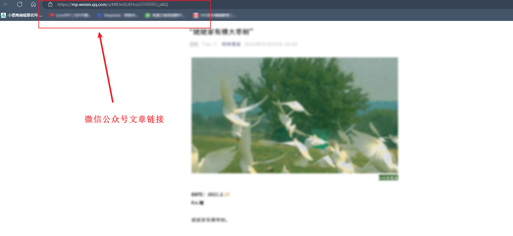 视频提取4.png
