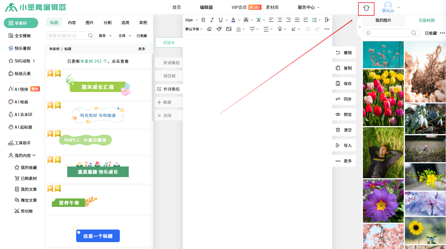 皮皮肤.png